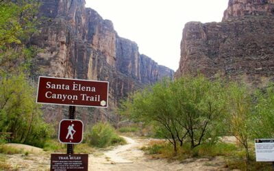 Amazing Hiking Trails in Texas Worth Checking Out